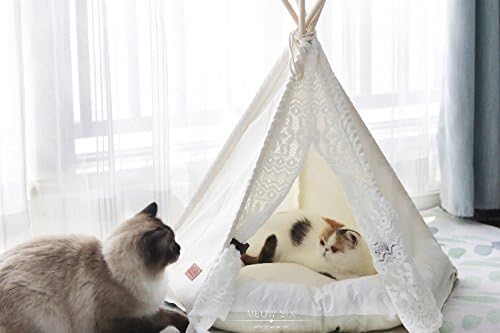 Little Dove,Hunde-Tipi-Zelt, Hause und Zelt mit Spitze für Hund oder Haustier, abnehmbar und waschba