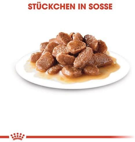 Royal Canin Instinctive Gravy | Doppelpack | 2 x 12 x 85 g | Nassfutter für ausgewachsene Katzen | K