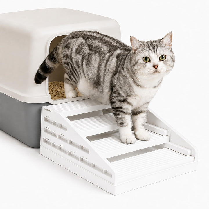 Katzenstreu Rampe - Katzentoilettenstufe - Katzentreppe für Alte Katzen Weiss, Weiss
