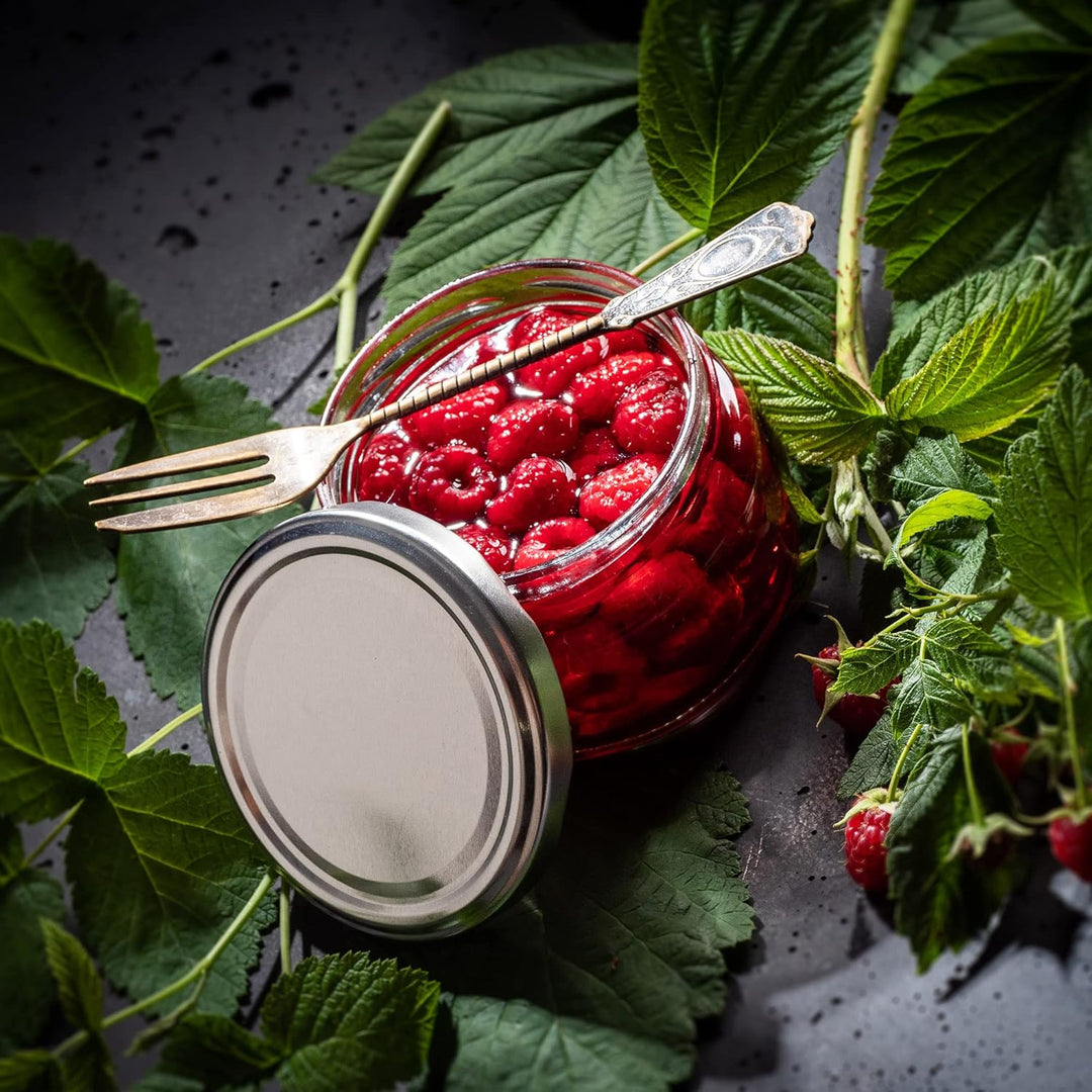 KADAX 20er Set Einmachgläser 250ml TO82 Essiggurken, Marmeladengläser Vorratsgläser Mason Jar mit Sc