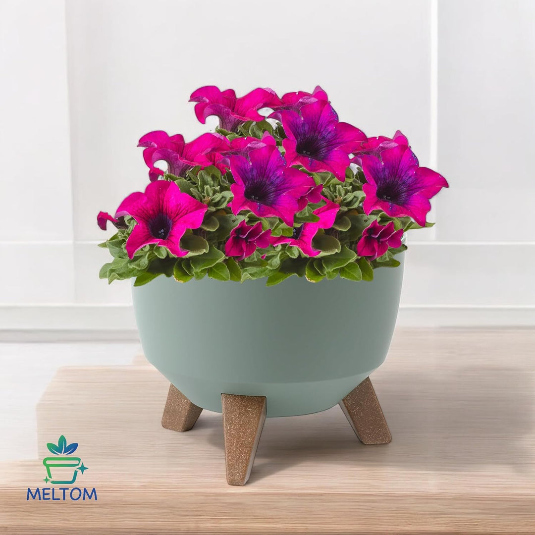 MELTOM Blumentopf mit Füssen Ø 29 cm Grün Übertopf mit Drainageboden Grün M - 29 cm, Grün M - 29 cm