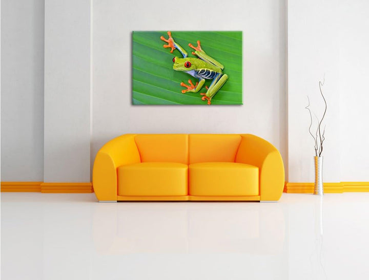 Pixxprint Kleiner grüner Frosch auf Blatt / 100x70cm Leinwandbild bespannt auf Holzrahmen/Wandbild K