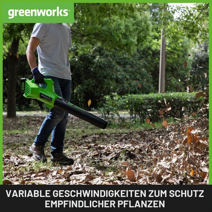 Greenworks G24ABIIK2 Axial Akku Laubbläser, 145 km/h, 9,08 m³/min 24V Akku &amp; Ladegerät, 3 Jahre Gara