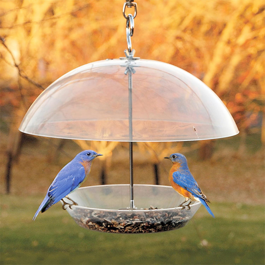 Woodlink NABBFDR Audubon Dome Top Samen und Bluebird Futterstation