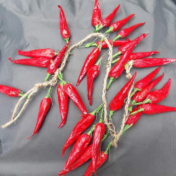 5er-Pack künstliche, lebensechte Gemüse-Simulation, künstlicher Knoblauch, rote Chilischote, künstli