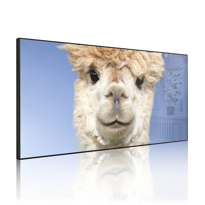 banjado Magnettafel schwarz 78 x 37cm / Magnetwand Metall/Magnetpinnwand als Memoboard/Pinnwand Magn