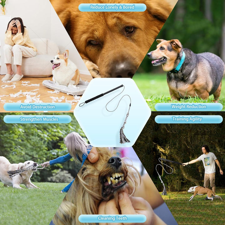 Flirt Pole Für Welpen Hunde,Interaktive Jagd und Zerrspielzeug Im Freien Hundespielzeug,Reizangel Ch