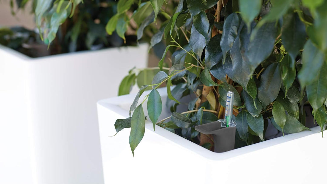 PISA POT 60CM SELF WATERING TAUPE Taupe 33x33x61 cm, Taupe 33x33x61 cm