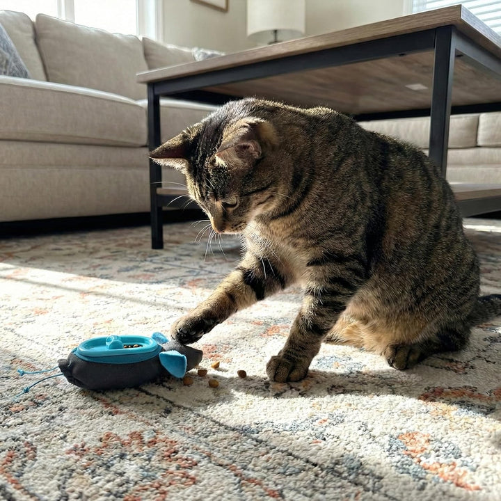Doc &amp; Phoebe Indoor Hunter Katzen Napf interaktiv einheitsgrösse Unterschiedlich