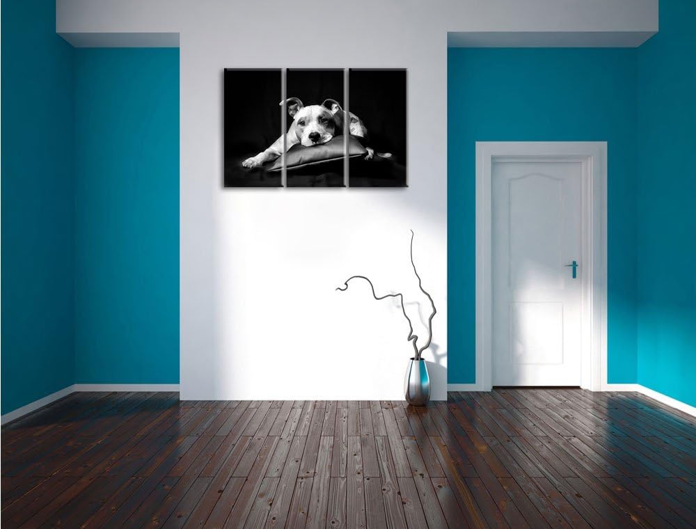 Pixxprint Monocrome, Dark Süsser American Staffordshire 3-Teiler Leinwandbild 120x80 Bild auf Leinwa