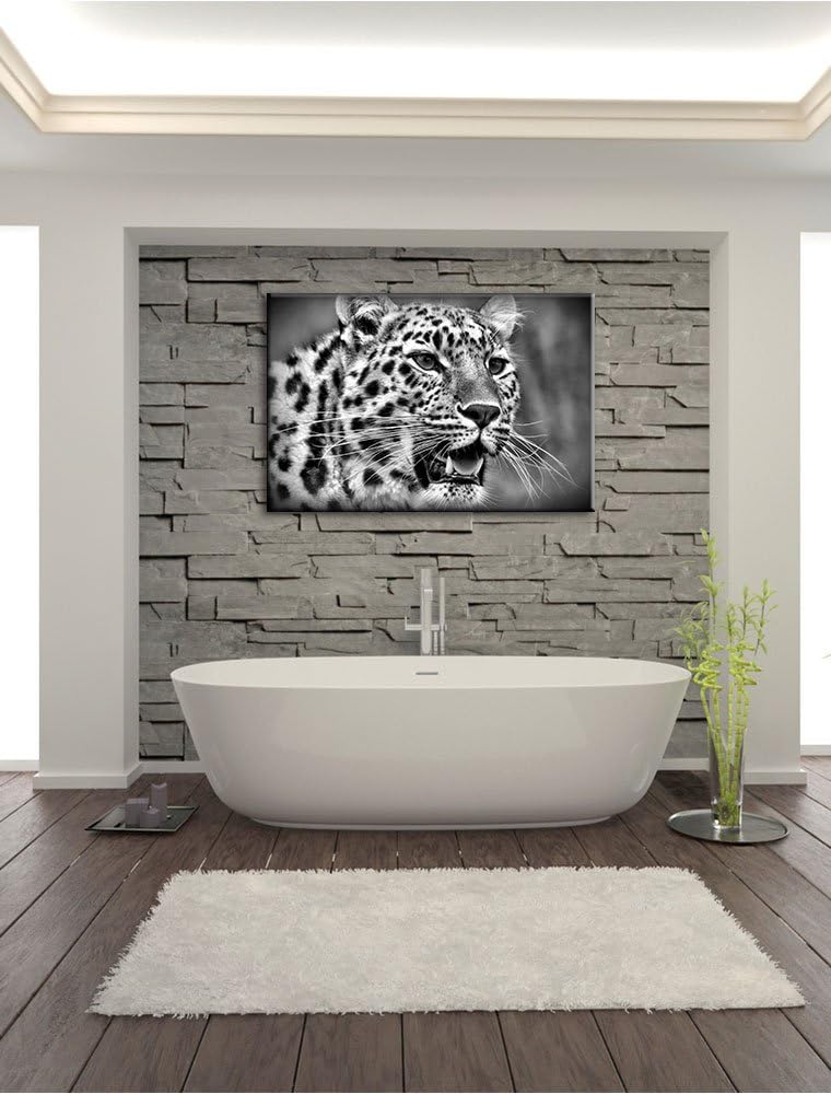 Pixxprint ausgewachsener Leopard / 100x70cm Leinwandbild bespannt auf Holzrahmen/Wandbild Kunstdruck