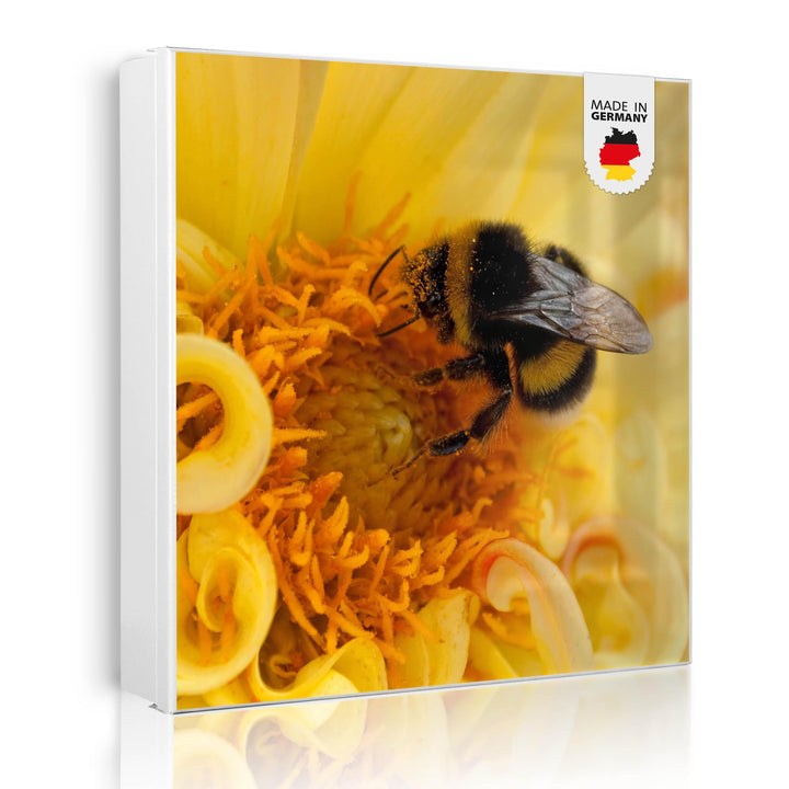banjado Grosser Schlüsselkasten Metall - Schlüsselbox 30x30cm beschreibbarer mit 32 Haken - Schlüsse