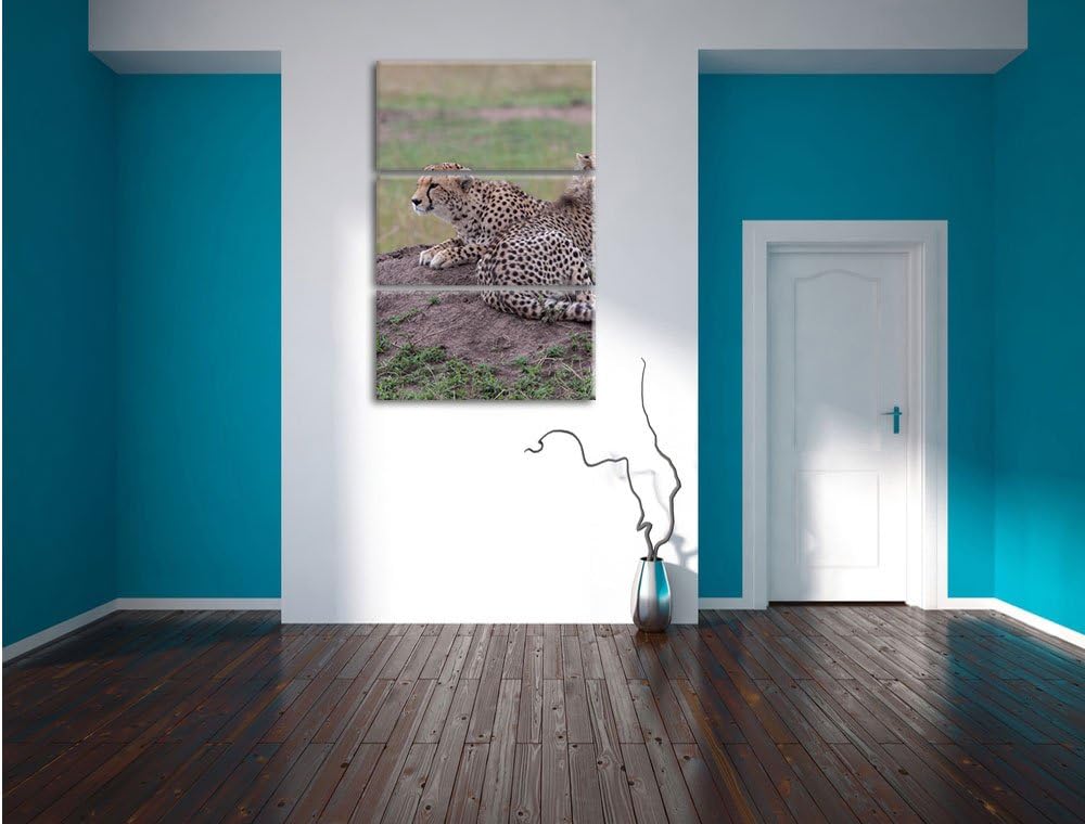 Pixxprint prächtige Geparden auf Stein / 3-Teilig/Gesamtmass 120cm Leinwandbild bespannt auf Holzrah