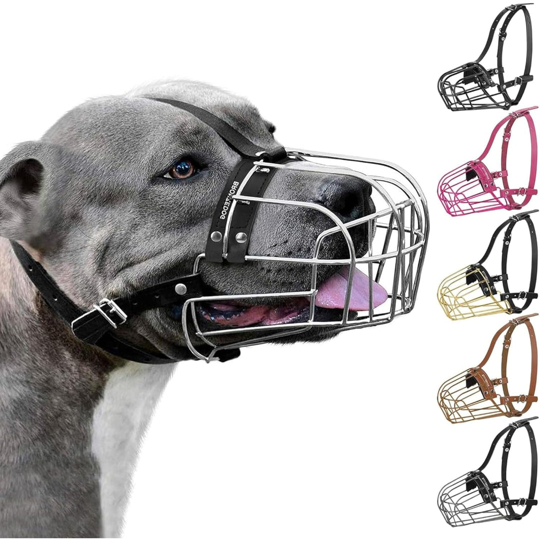 BronzeDog Hundemaulkorb Pitbull Metallmaske Amstaff Drahtkorb Pit Bull verstellbare Lederbänder für