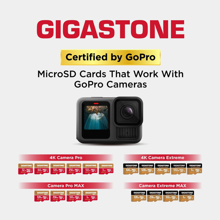 [5 Jahre kostenlose Datenwiederherstellung] GIGASTONE 256 GB Micro SD Karte, Kamera Pro MAX, bis zu
