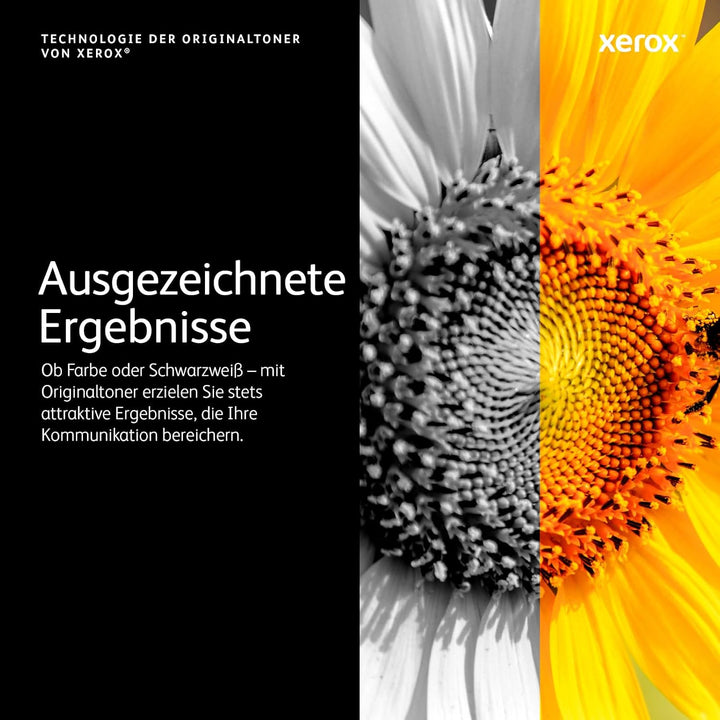 Xerox 106R03940 VersaLink B600 / B605 / B610 / B615 (10.300 Seiten) Standard-Tonerkartusche Schwarz