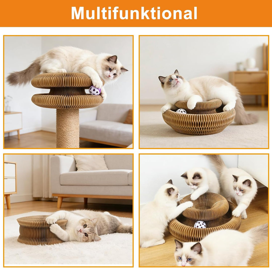 Kratzbrett Katze, 2-in-1 Cat Kratzbrett mit Glöckchen, Magische Orgel Cat Scratching Board, Zusammen