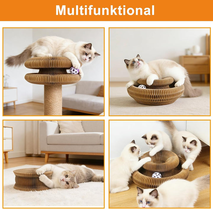 Kratzbrett Katze, 2-in-1 Cat Kratzbrett mit Glöckchen, Magische Orgel Cat Scratching Board, Zusammen