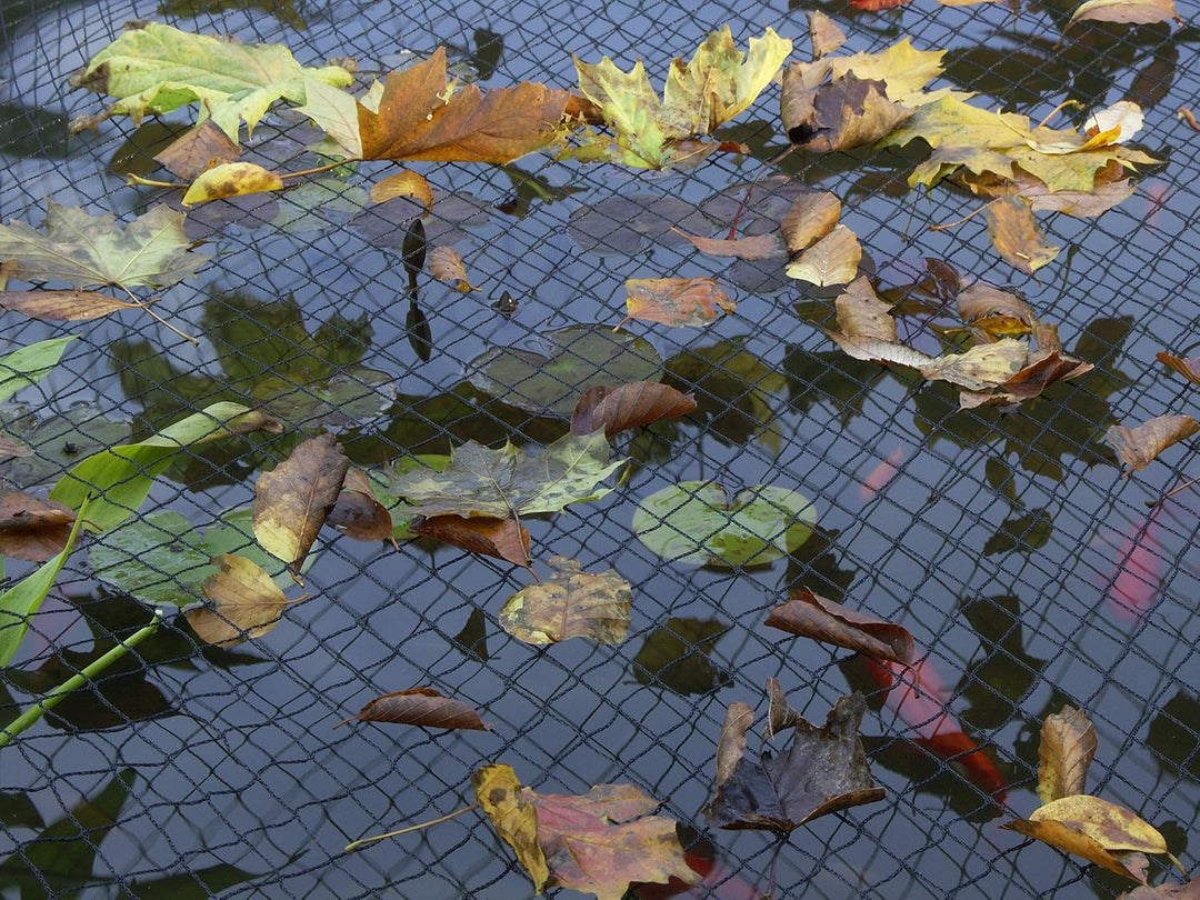 Blagdon Clearview Cover Net 3x2m | Teichabdeckung Schutznetz gegen Reiher &amp; Katzen | Laubschutz für