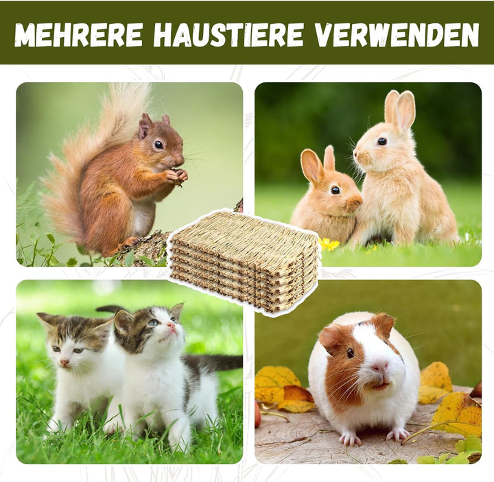 5 Stück Kleintier Grasmatten,28CM Tier-Kauspielzeug,Grasmatte Gewebte Bettmatte für Kleintiere Kanin