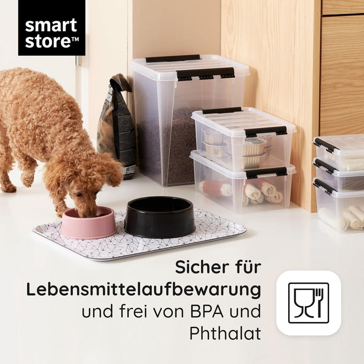 SmartStore Aufbewahrungsboxen mit Deckel, 31 l, transparent, 4er-Pack, verstärkt, 10 Jahre Garantie,