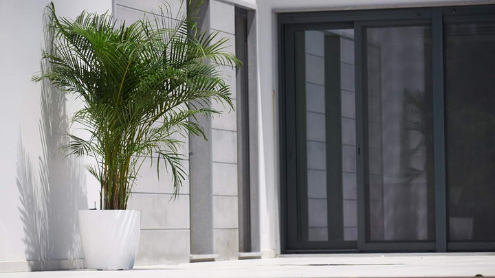 SAN REMO POT 42CM SELF WATERING ANTHRACITE Anthrazit 42CM, Anthrazit 42CM