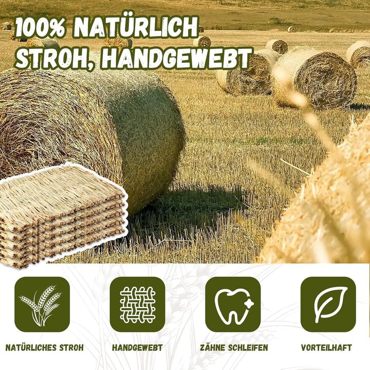 5 Stück Kleintier Grasmatten,28CM Tier-Kauspielzeug,Grasmatte Gewebte Bettmatte für Kleintiere Kanin