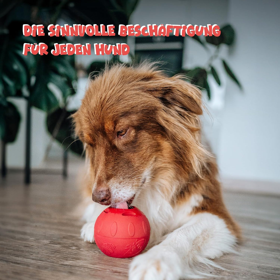 SmoothieDog Schleckball Hundesmoothie 3er Mix Klassik - Schleckball für Hunde, Snackball, zur Beschä