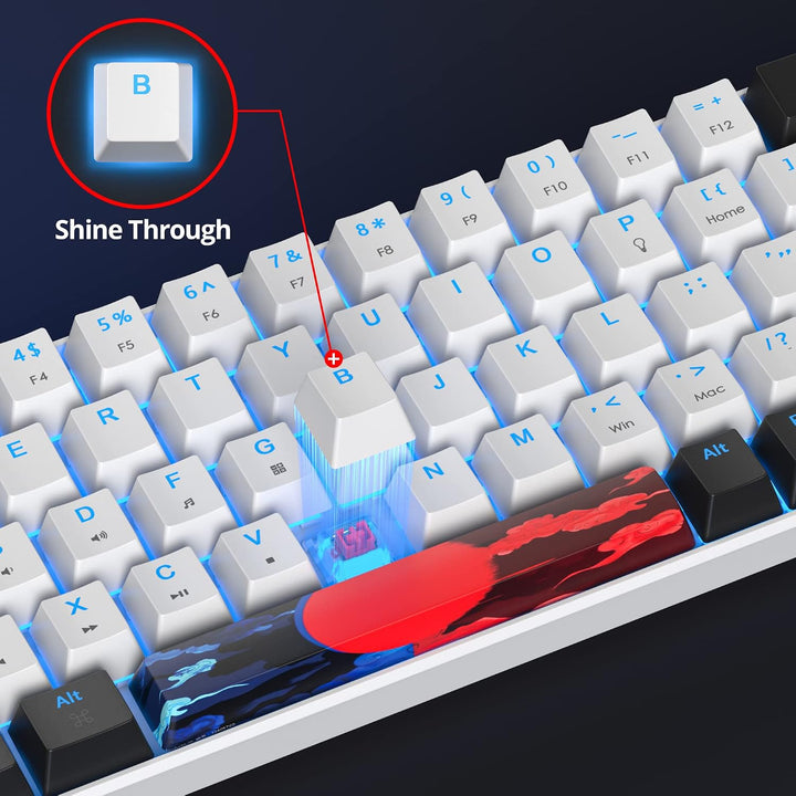 Ussixchare 60 % Gaming-Tastatur, 68 Tasten, mechanische Tastatur, LED-Hintergrundbeleuchtung, kompak
