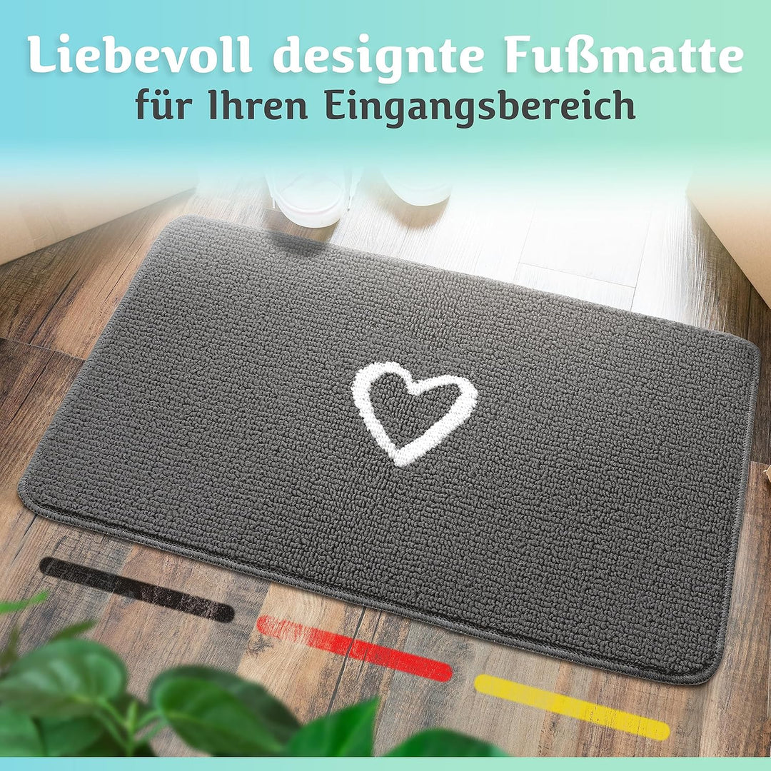 Bodenständig Fussmatte innen [waschmaschinenfest] in Perfekter Grösse für die Haustür. Fussmatte gra