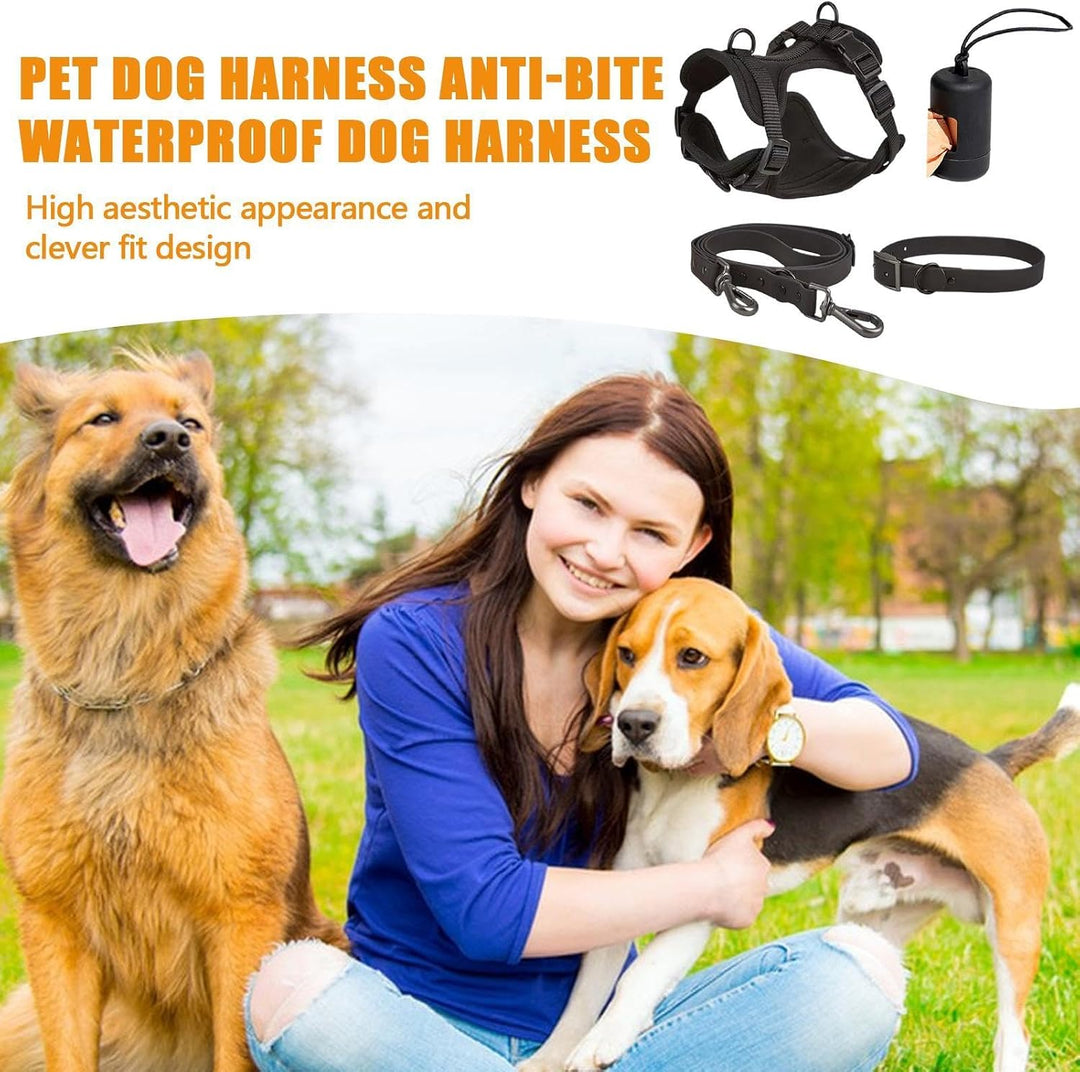 Hundegeschirr-Set – Hundehalsband, Leine, Set für kleine Haustiere, Halsband und Leine, kein Ziehen,