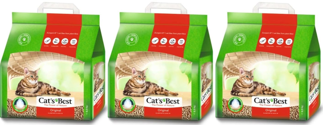 Cat&