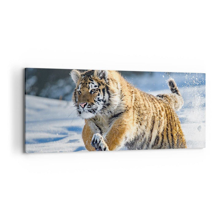 Wandbilder Dekoration Wohnzimmer tiger tier Panorama Bilder auf Leinwand 120x50cm Leinwandbild mit R