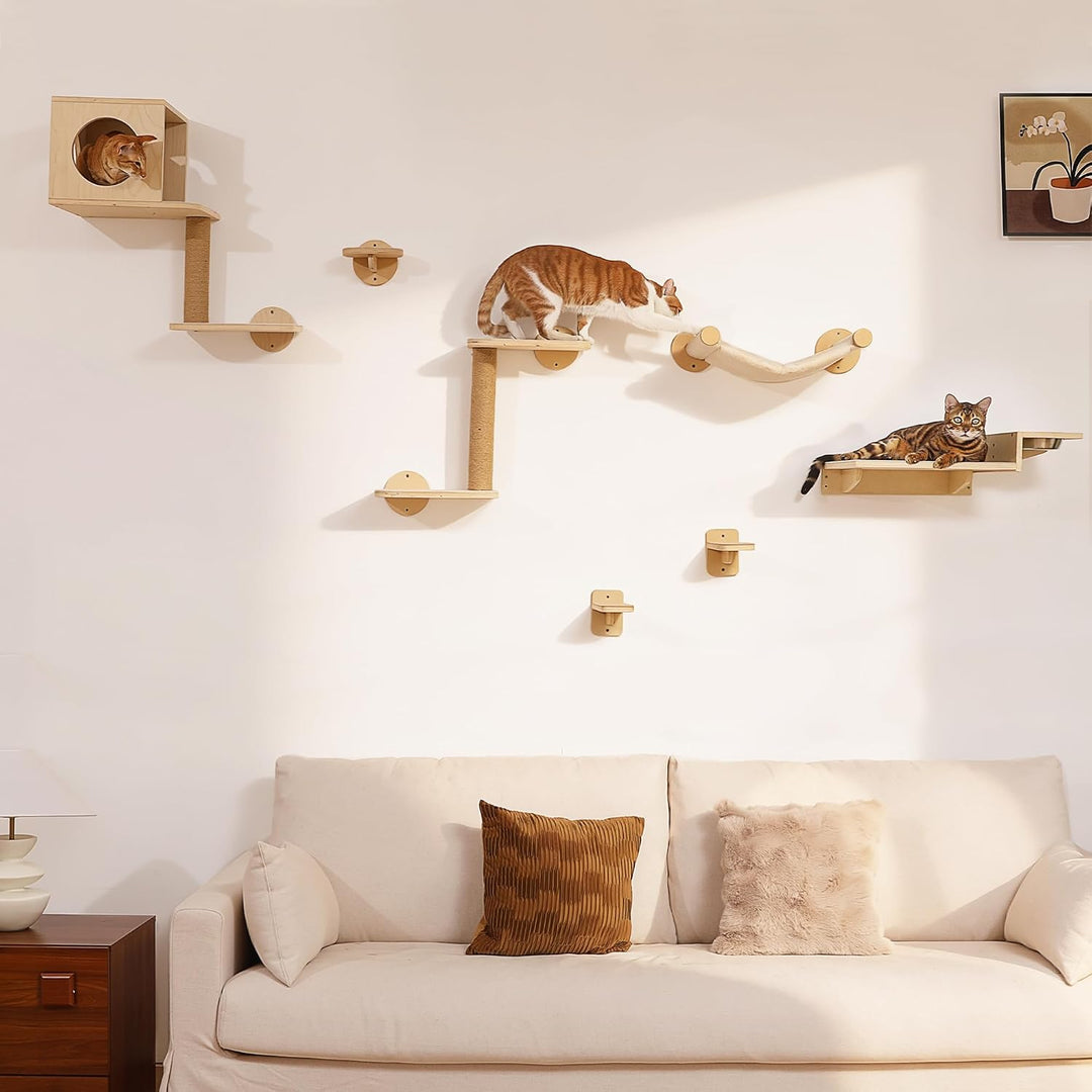 FUKUMARU Kletterwand Katzen Set, 2 Katzentreppe aus Massives Gummiholz, Katzenwand mit Katzennapf au
