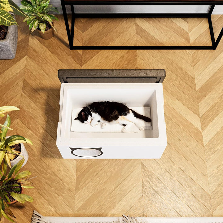 QLS Katzenhaus 58x38 cm Wetterfest aus Styropor mit Vorhang