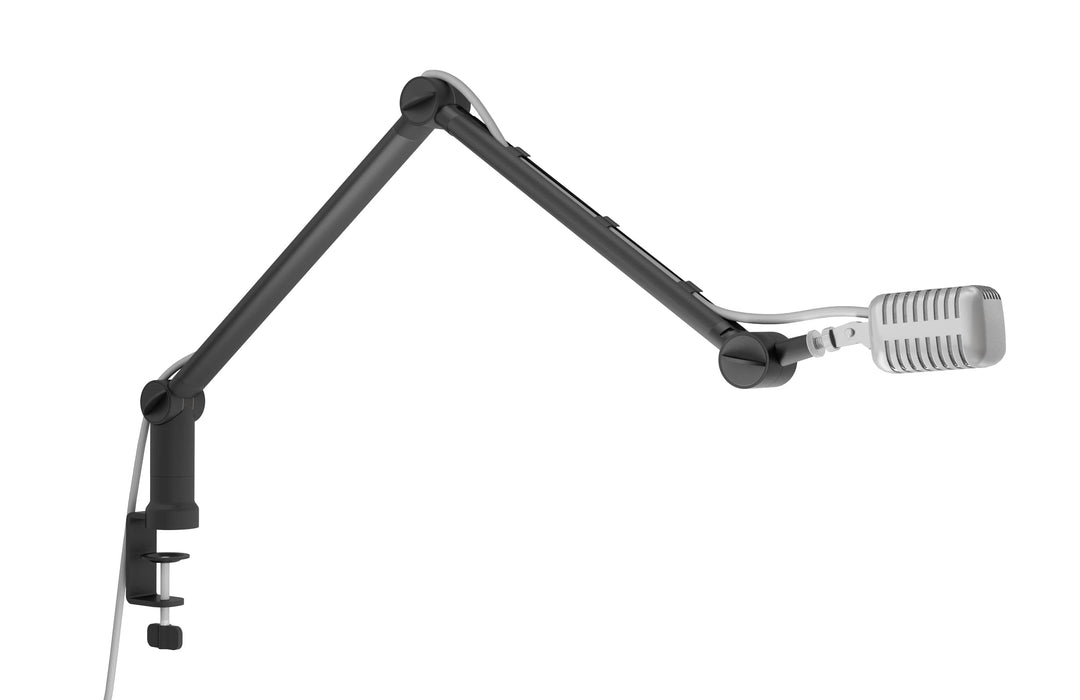 ICY BOX Professioneller Mikrofon-Arm mit Tischhalterung, 360 degree drehbar, 3/8 &