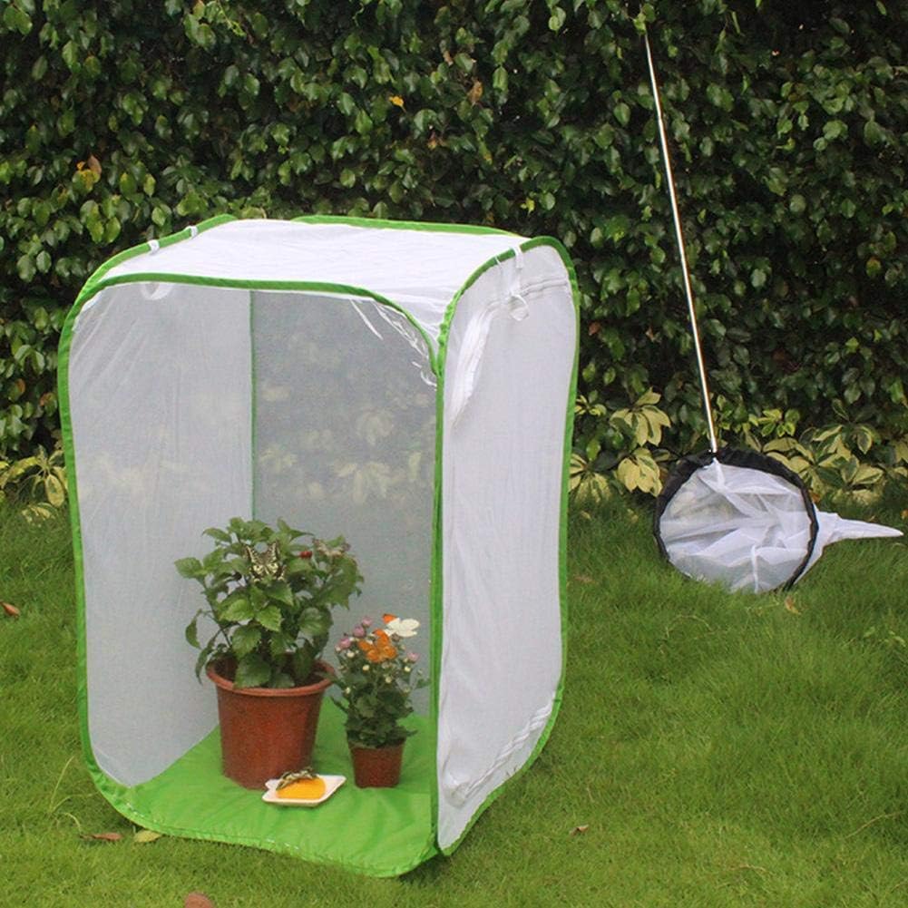 Grosser Schmetterlingskäfig, zusammenklappbarer Caterpillar Habitat Collapsible und Butterfly Habita