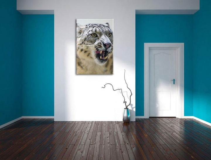 Pixxprint Schneeleopard zeigt Zähne auf Leinwand, XXL riesige Bilder fertig gerahmt mit Keilrahmen,