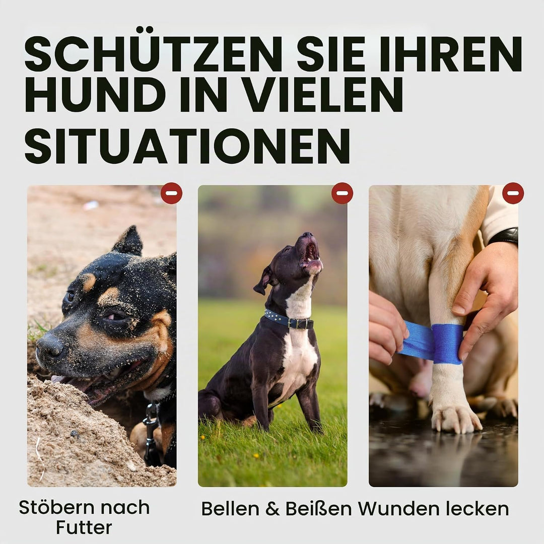BronzeDog Hundemaulkorb Pitbull Metallmaske Amstaff Drahtkorb Pit Bull verstellbare Lederbänder für
