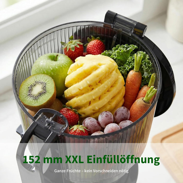 SJ-065 Entsafter Slow Juicer, 400W, 152 mm XL-Einfüllschacht Titanium Gray, Titanium Gray