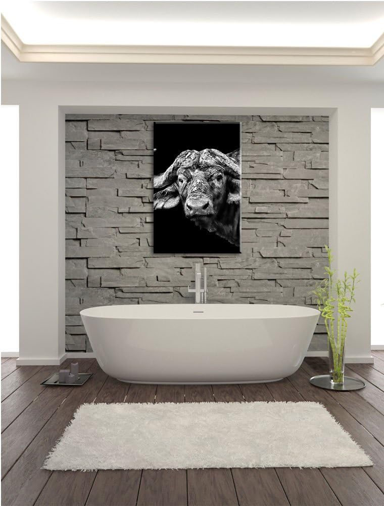 Pixxprint Dark Wasserbüffel als Leinwandbild | Grösse: 100x70 cm | Wandbild | Kunstdruck | fertig be