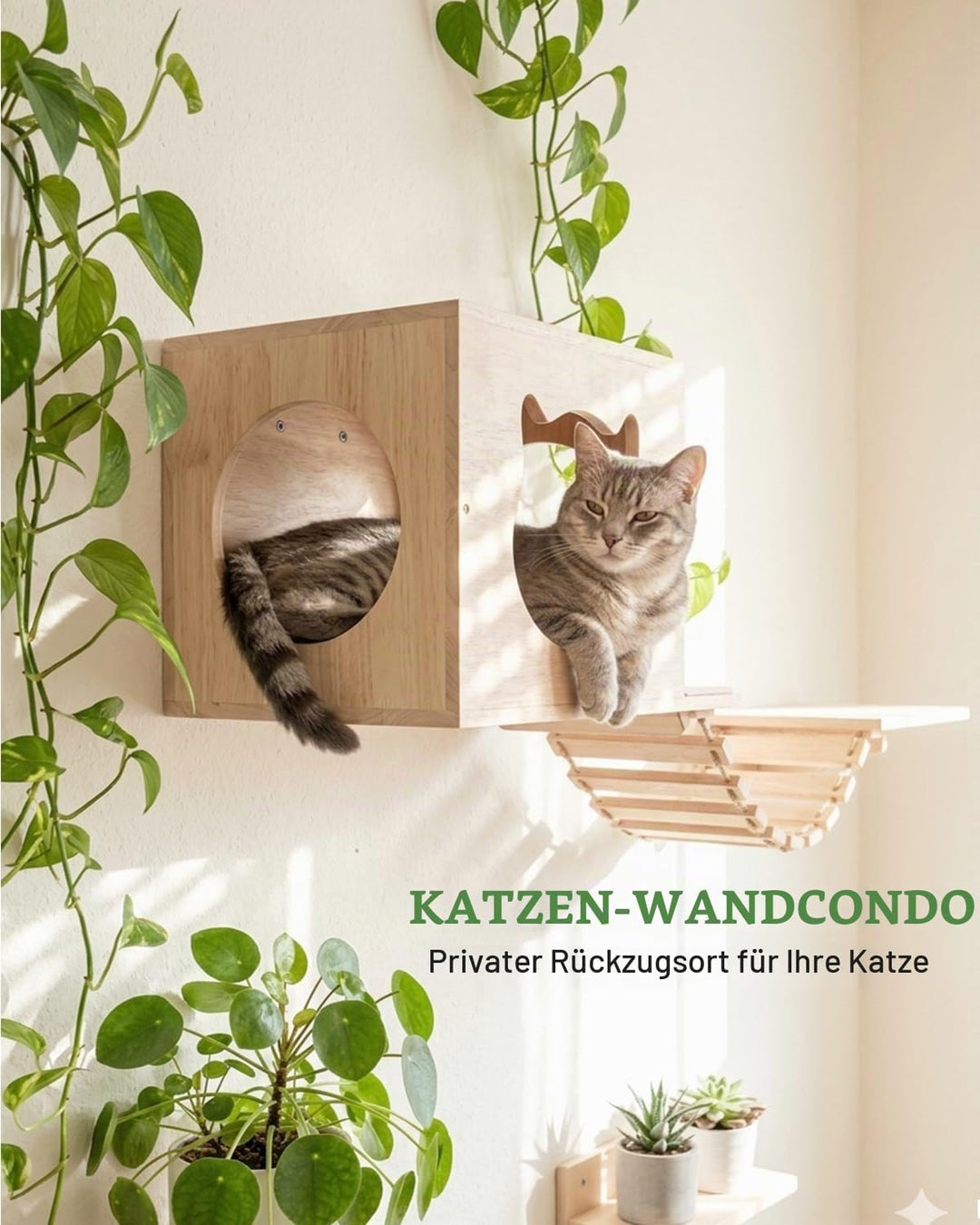 Kletterwand Katzen, 5-teilig Katzen Kletterwand mit Katzenhäusern bis 15 kg 5PCS, 5PCS