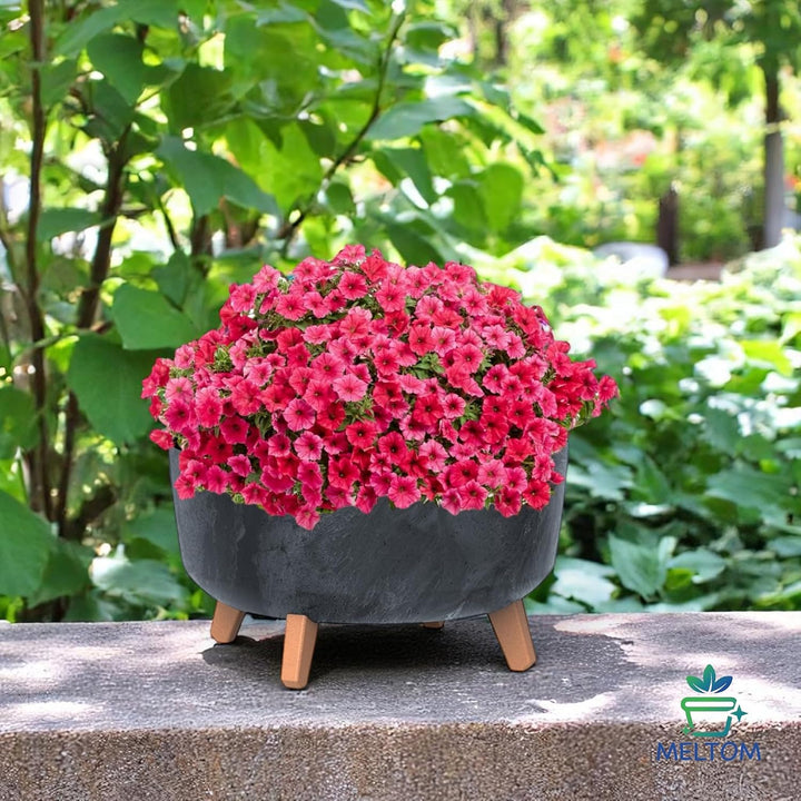 MELTOM Blumentopf Schale mit Füssen Einsatz Blumenschale Kräutertopf Übertopf, 39 cm x 27 cm (Beton