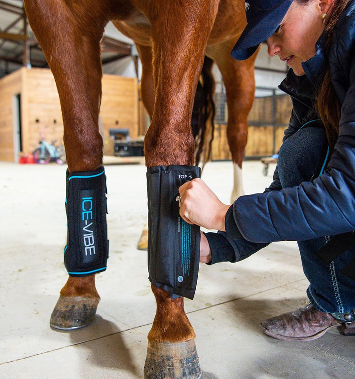 Horseware Ice Vibe Ersatz-Kühlkompresse (1 Paar) Full, Full