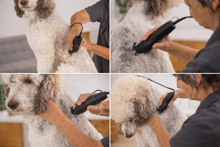 Rotschopf24 MAX50+ Hundeschermaschine mit Tasche &amp; 2 Metallaufsteckkämmen