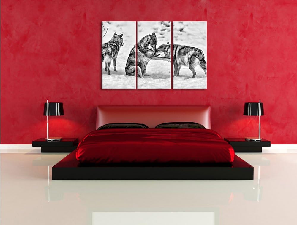 Pixxprint Monocrome, spielendes Wolfsrudel 3-Teiler Leinwandbild 120x80 Bild auf Leinwand