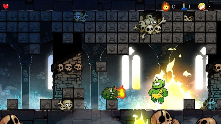 Wonder Boy: The Dragon&