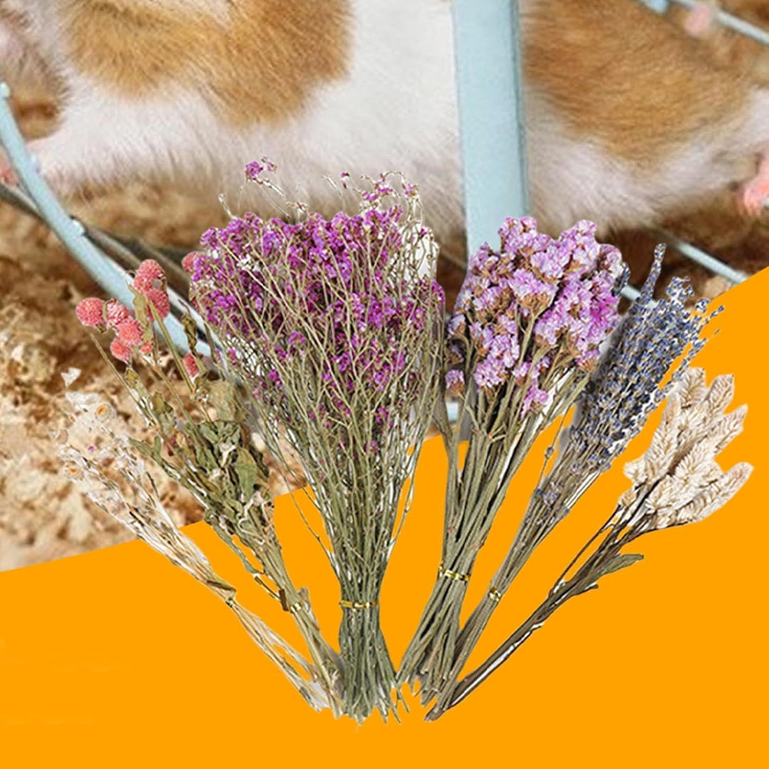 Hamster-Heublumen-Einstreu, Bettwäsche für Blumen Hamster, Hamster-Blumen Bettwäsche, Hamster-Heublu