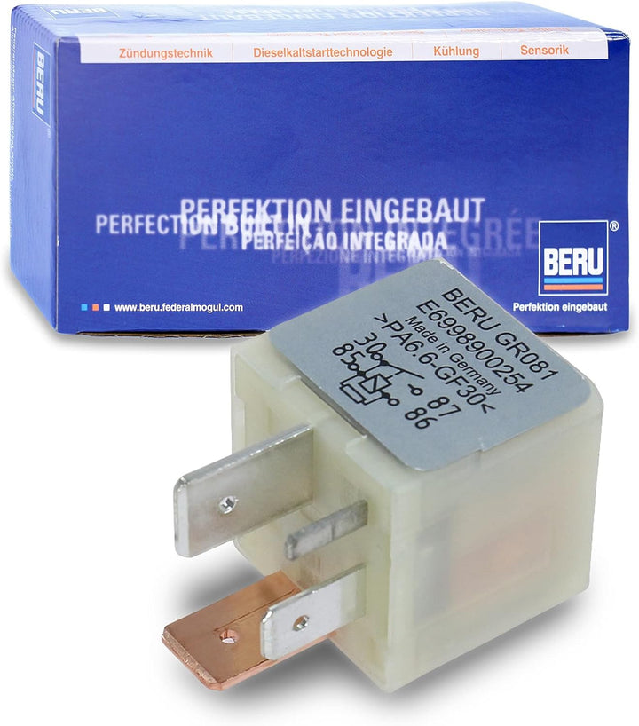 BERU GR081 Zünd und Glühanlagen