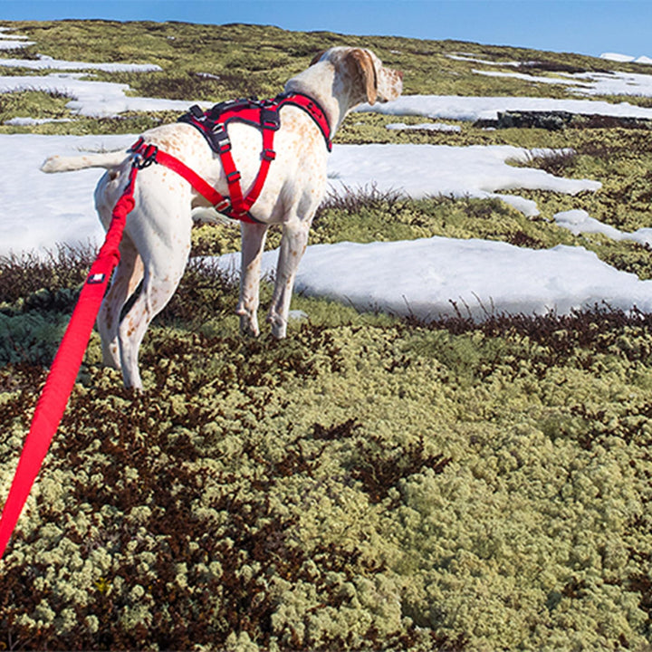Canicross/Canirando Comfort Trek-Leine Rot